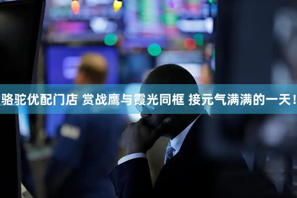 骆驼优配门店 赏战鹰与霞光同框 接元气满满的一天！