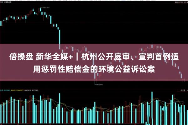 倍操盘 新华全媒+｜杭州公开庭审、宣判首例适用惩罚性赔偿金的环境公益诉讼案