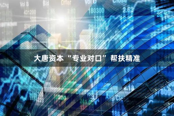 大唐资本 “专业对口” 帮扶精准