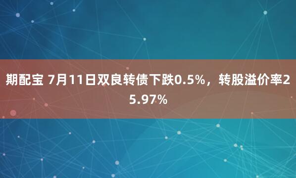 期配宝 7月11日双良转债下跌0.5%，转股溢价率25.97%