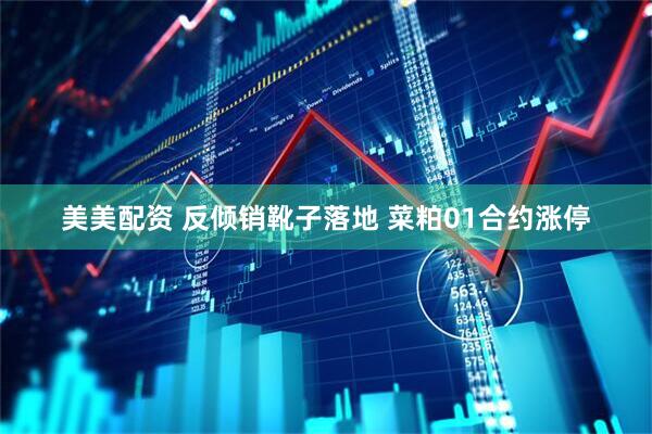 美美配资 反倾销靴子落地 菜粕01合约涨停
