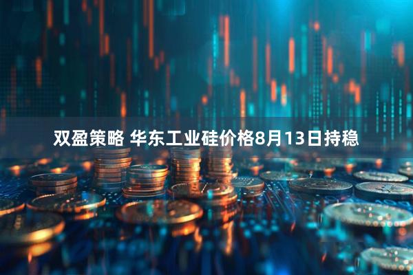 双盈策略 华东工业硅价格8月13日持稳