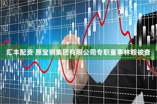 汇丰配资 原宝钢集团有限公司专职董事林鞍被查