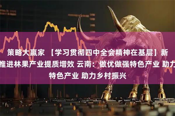策略大赢家 【学习贯彻四中全会精神在基层】新疆：全面推进林果产业提质增效 云南：做优做强特色产业 助力乡村振兴