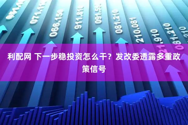 利配网 下一步稳投资怎么干?发改委透露多重政策信号